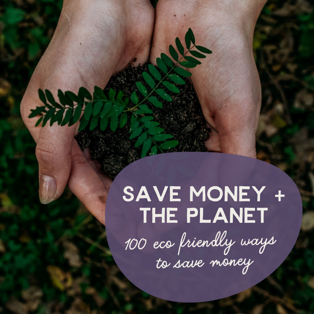 Green Guide to Saving Money and the Planet 2024
