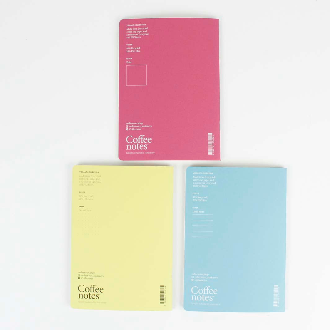 Set of 3 Stitched Notebooks - Medio (A5) - Vibrant