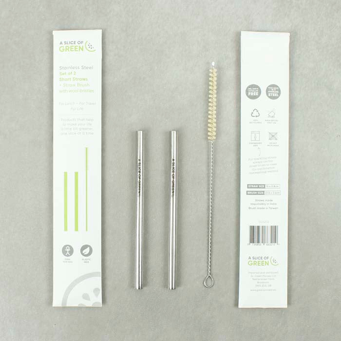 Set of Two Stainless Steel Short Straws & Brush